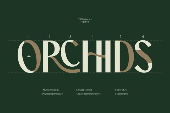 Orcherum Font PNG with transparent background - Preview 4