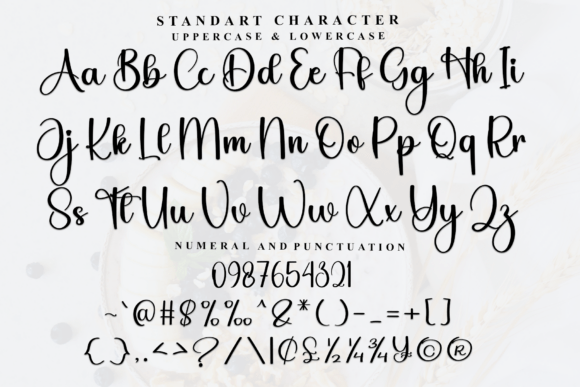 Bestia Font - Preview 4