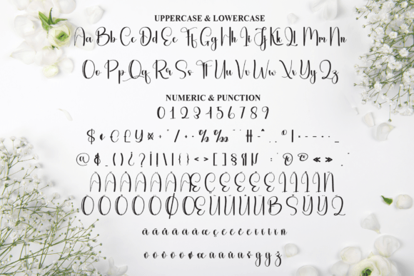 Charefull Font - Preview 6