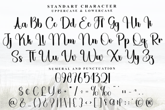 Diary Planner Font - Preview 4