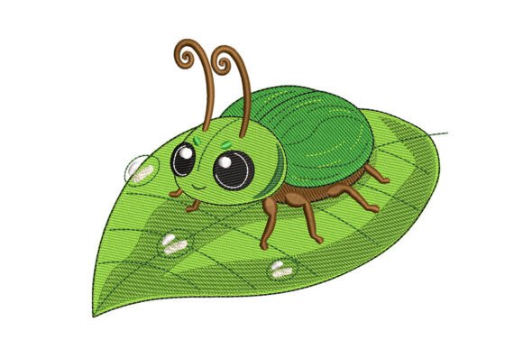 Lovely Leaf Beetle