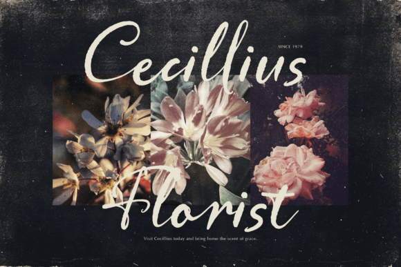 Memories Semesta Font PNG with transparent background - Preview 2
