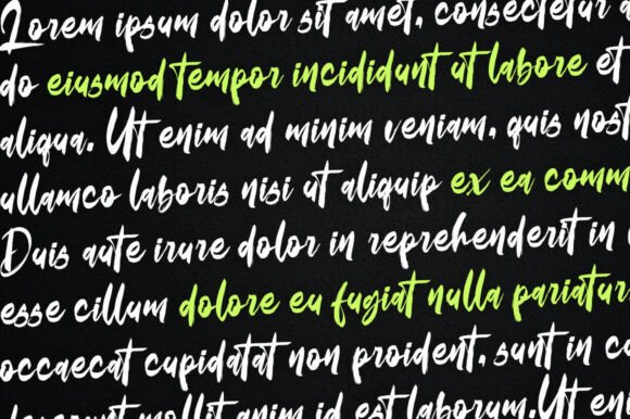 Blacknight Font - Preview 3