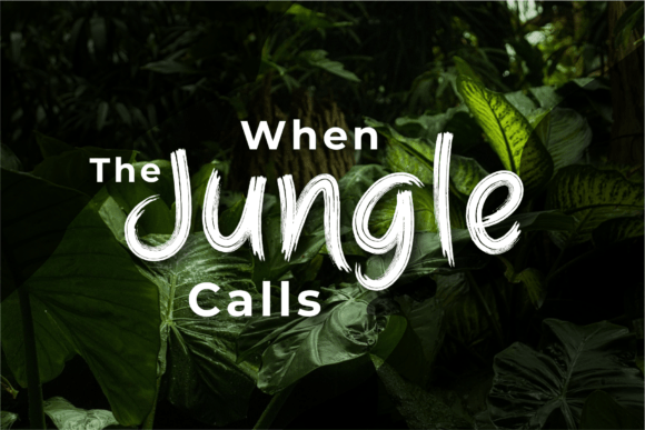 Rougless Font PNG with transparent background - Preview 2