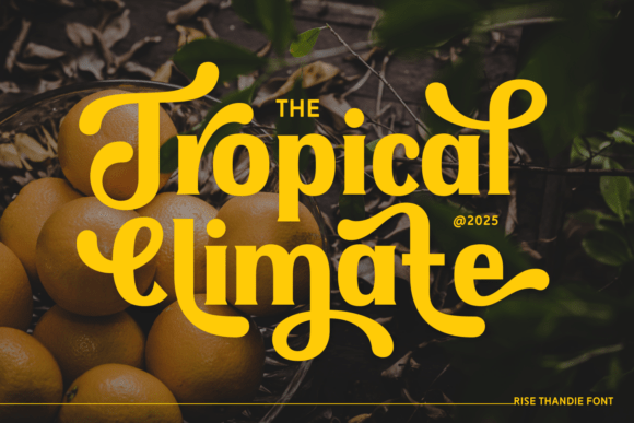 Rise Thandie Font PNG with transparent background - Preview 1