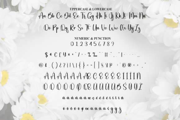 Daisy Font - Preview 6