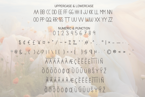 Delightful Font - Preview 6