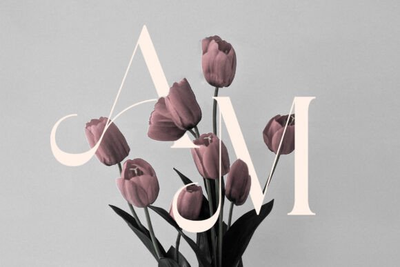 Michola Font font preview - 6