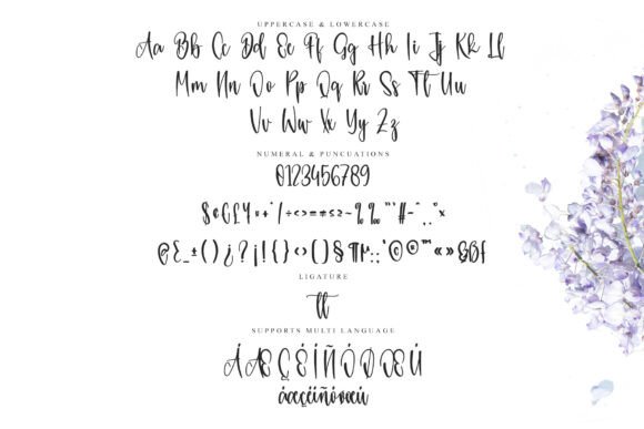 Perfect Graduation Font PNG with transparent background - Preview 5