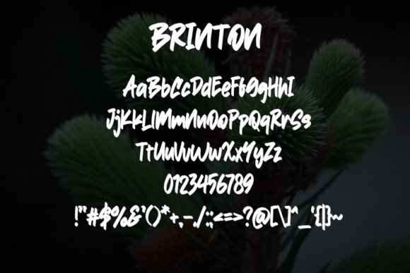 Brinton Font - Preview 1