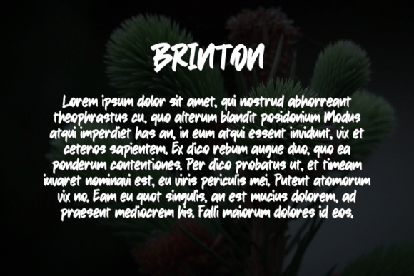 Brinton Font - Preview 2