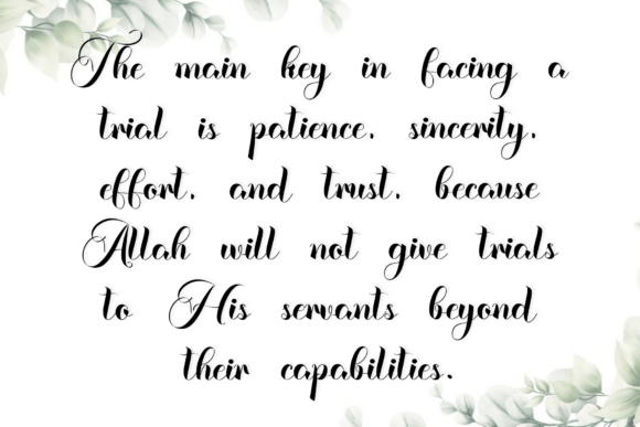 Background Signature Font - Preview 3
