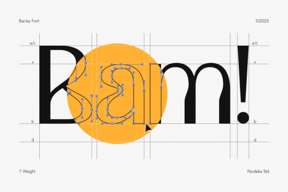 Bacley Font - Preview 1