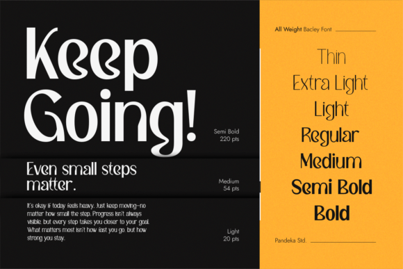 Bacley Font - Preview 2