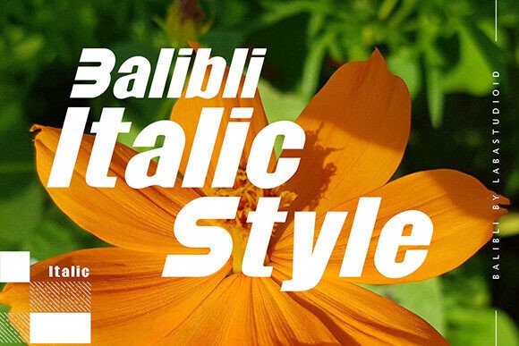 Balibli Font - Preview 1