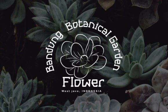 Black Berry Font - Preview 1