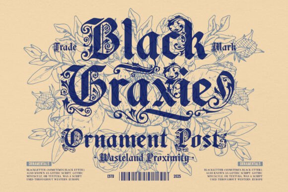 Black Kiyrand Font - Preview 4