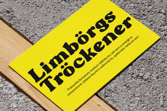 Blogeris Display Font - Preview 5