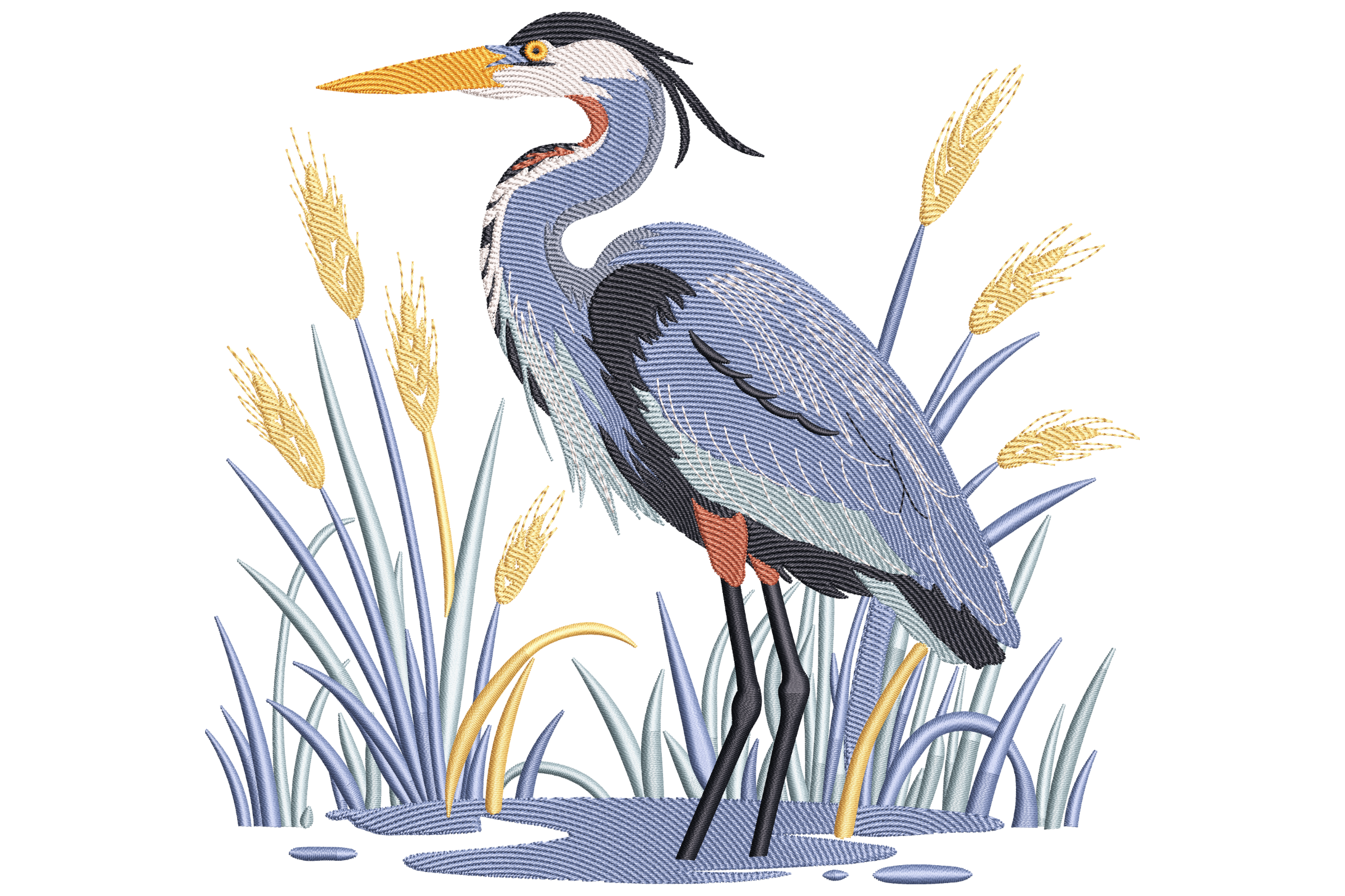 Blue Heron