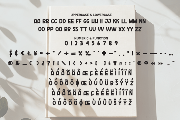 Book Simple Font - Preview 6