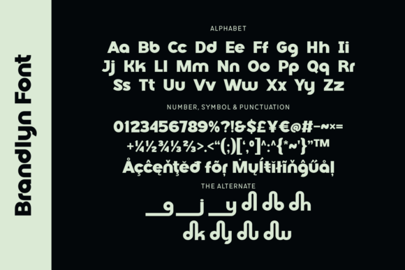 Brandlyn Font - Preview 3