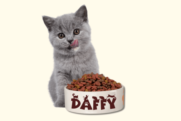 Cat Day Font - Preview 1