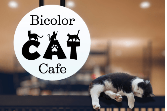 Cat Day Font - Preview 5