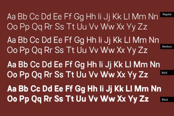 Choice Sans Family Font - Preview 3