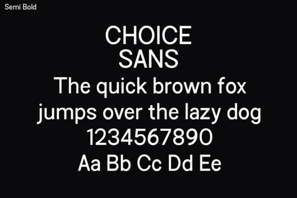 Choice Sans Family Font - Preview 5
