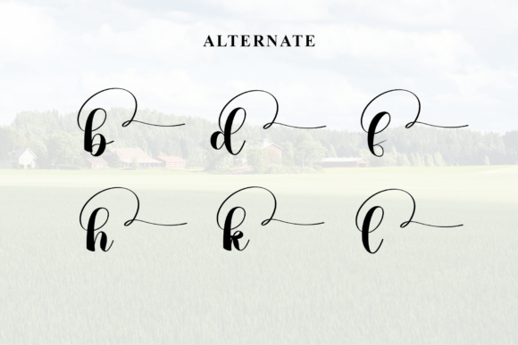 Farmhouse Font - Preview 6