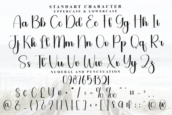 Handsome Font - Preview 4