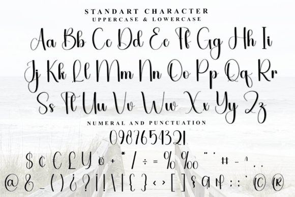 Alphabet Handwriting Font - Preview 4