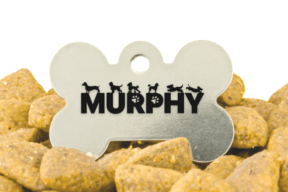 Dog Font - Preview 2