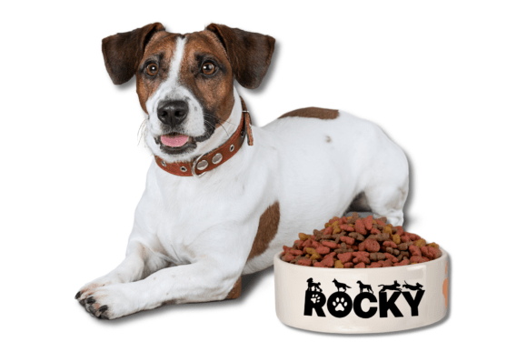 Dog Font - Preview 3