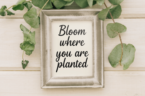 Fayleen Font PNG with transparent background - Preview 3