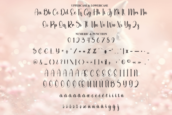 Happy Bunny Font - Preview 6