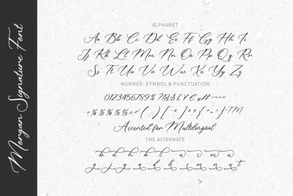 Morgan Signature Font PNG with transparent background - Preview 3