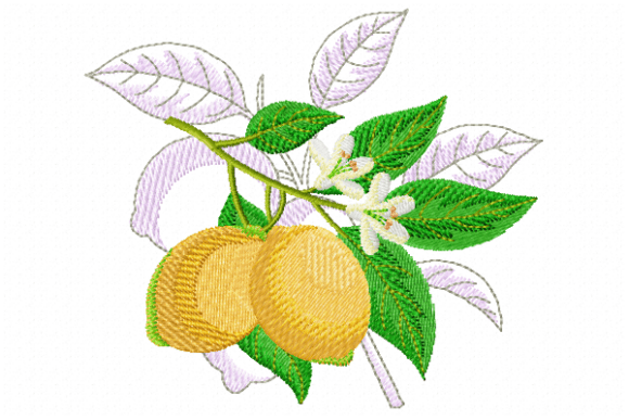 Lemon Embroidery Design