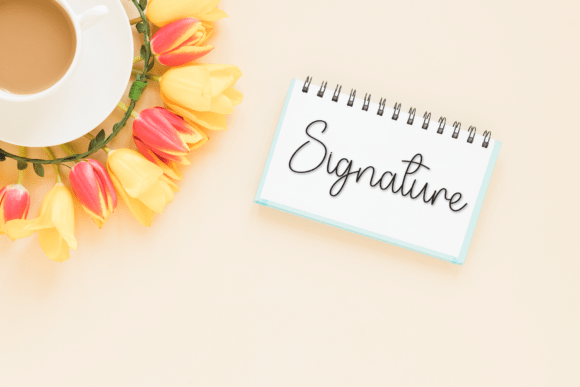 Sample Magnolia Font PNG with transparent background - Preview 4