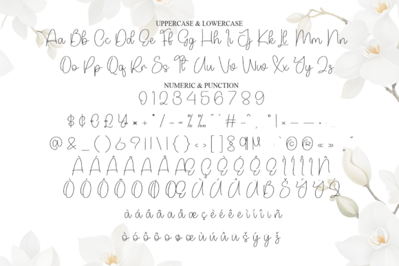 Sample Magnolia Font PNG with transparent background - Preview 6