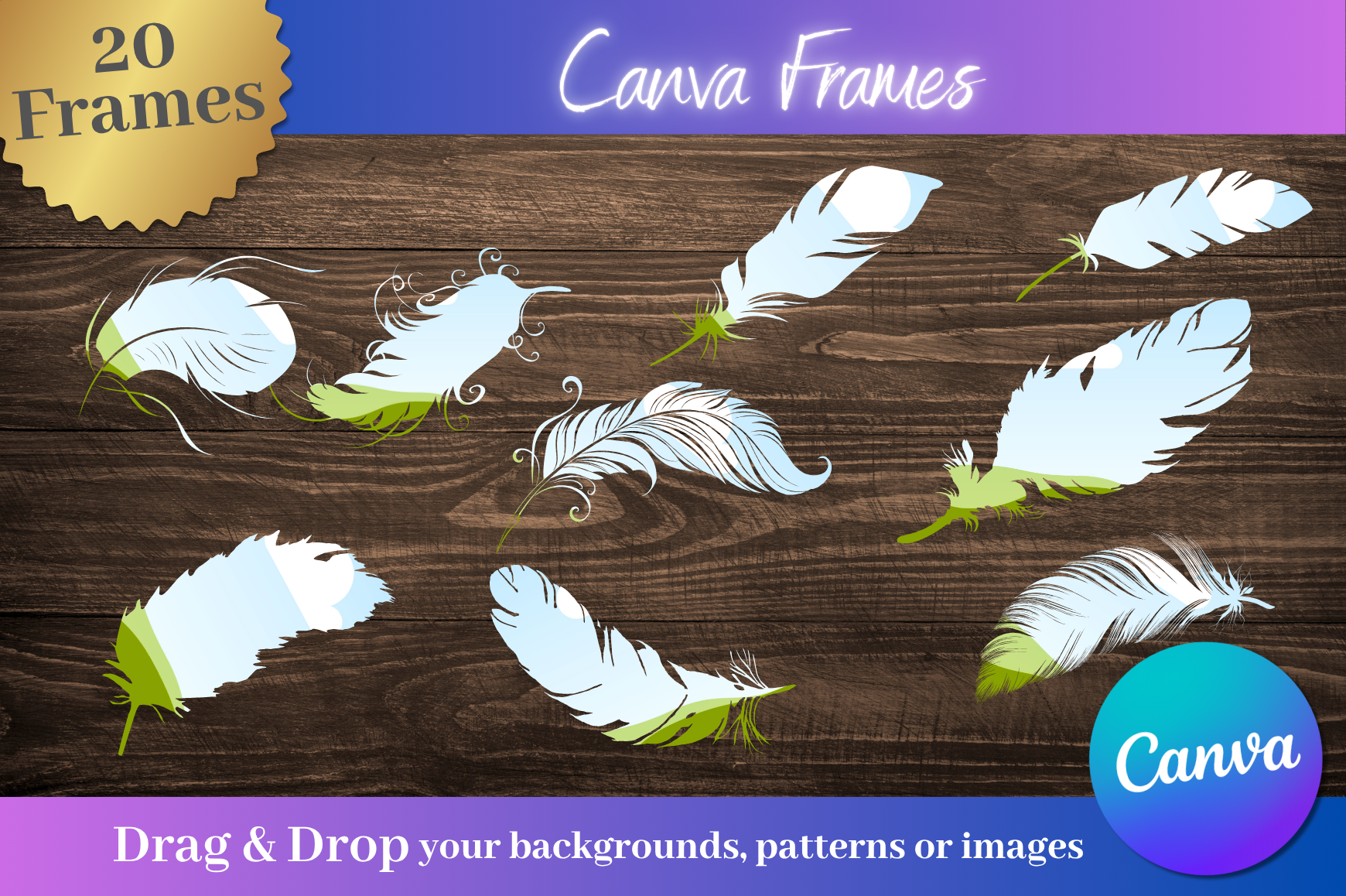 20 Custom Feather Canva Frames Graphic by Design Depot Graphics ...