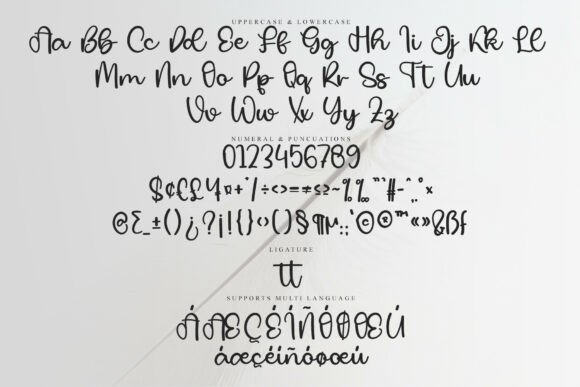 Adventure Signature Font - Preview 5