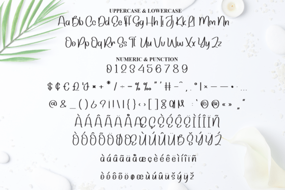 Beauty Font - Preview 6