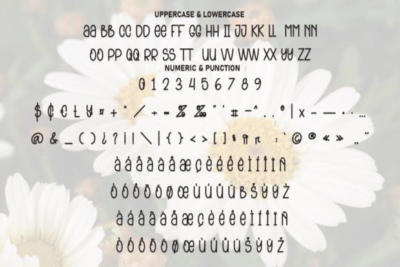 Daisy Blooming Font PNG with transparent background - Preview 6