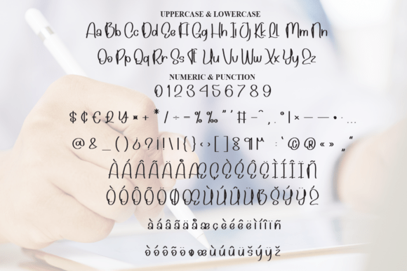 Digital Signature Font - Preview 6