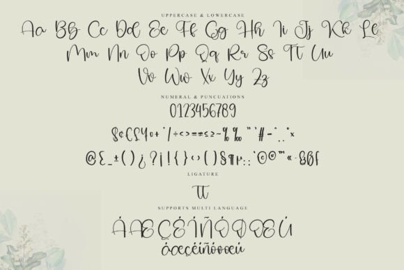 Anybody Font - Preview 5