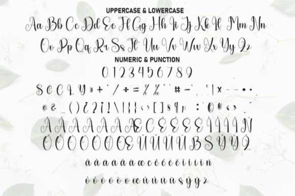 Anything Font - Preview 6