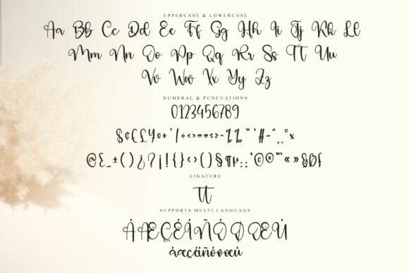 Brilliant Farmhouse Font - Preview 5