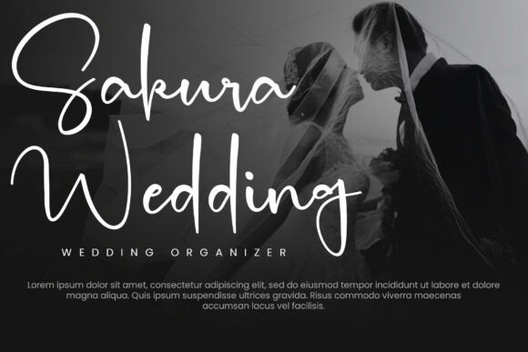 Elegant Beach Font - Preview 4