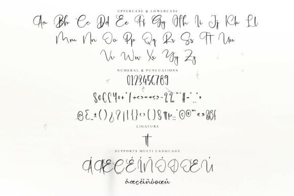 Elegant Beach Font - Preview 5